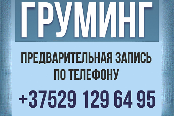 Внимание! груминг! Внимание! груминг!